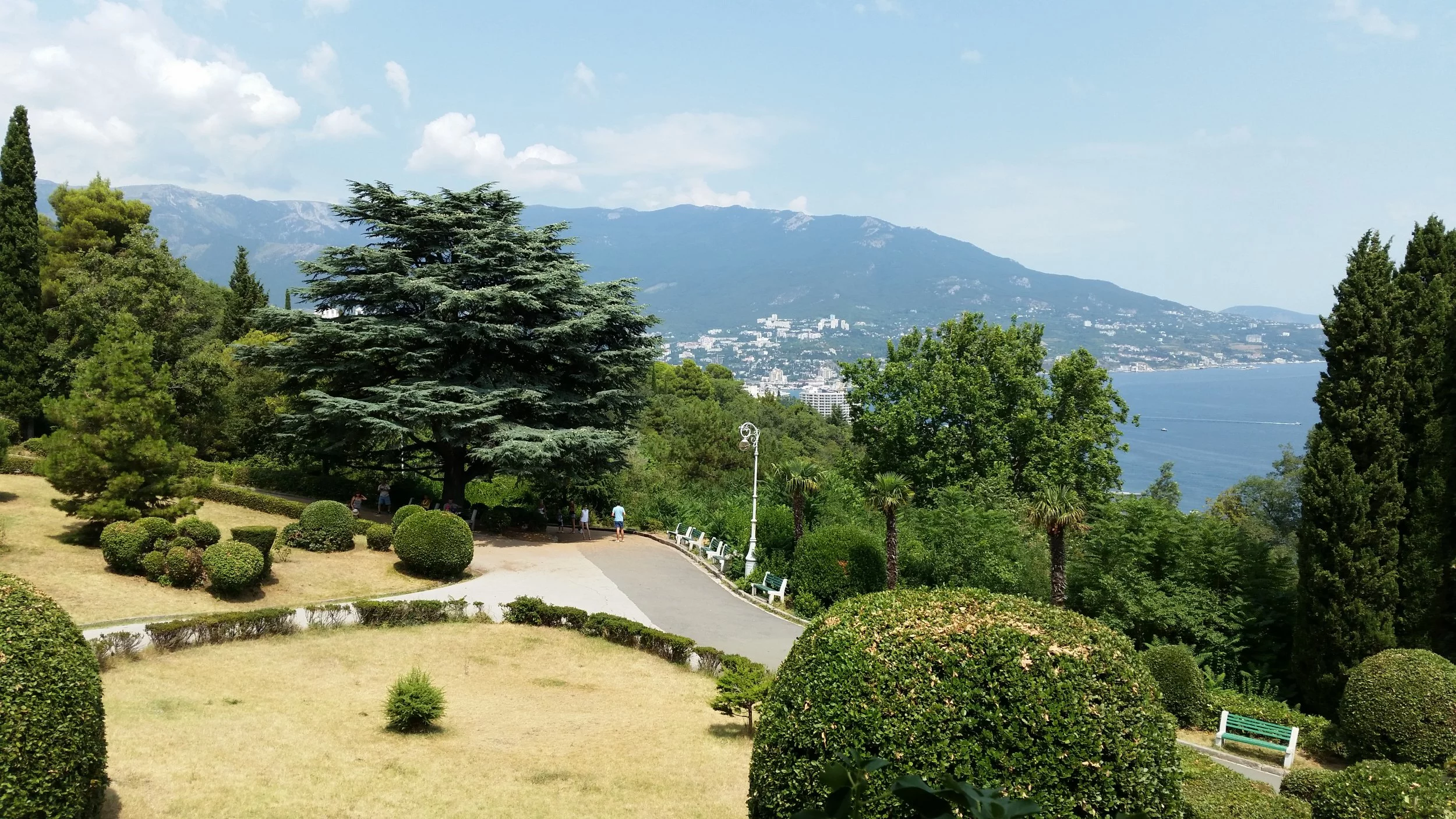 20150805_131319.webp
