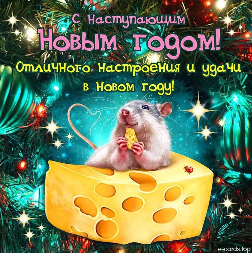 IMG-1bdb8e772eb1e38d5ec6ab5090c0b44d-V.webp