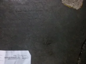 2072 2072