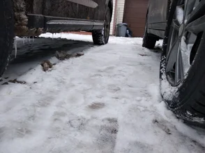 IMG_20190214_093320.webp