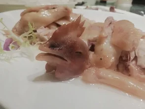 2629