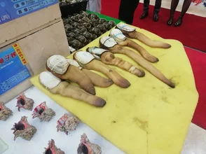 2637