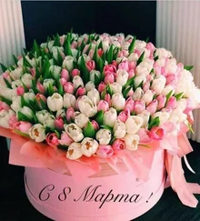 IMG-0f6532c80e66c720053f566c94013611-V.webp